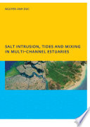 Salt Intrusion  Tides and Mixing in Multi Channel Estuaries