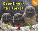 cover img of Counting in the Forest